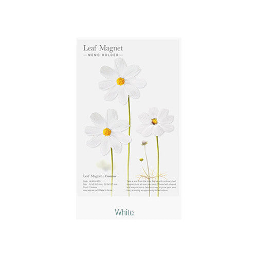 Cosmos White Flower Magnet Set
