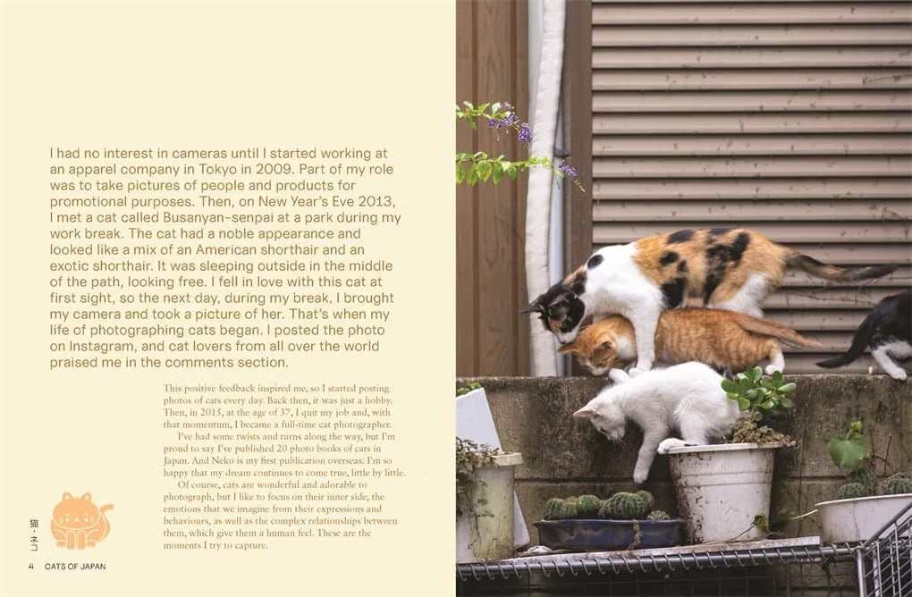 Neko: Cats of Japan