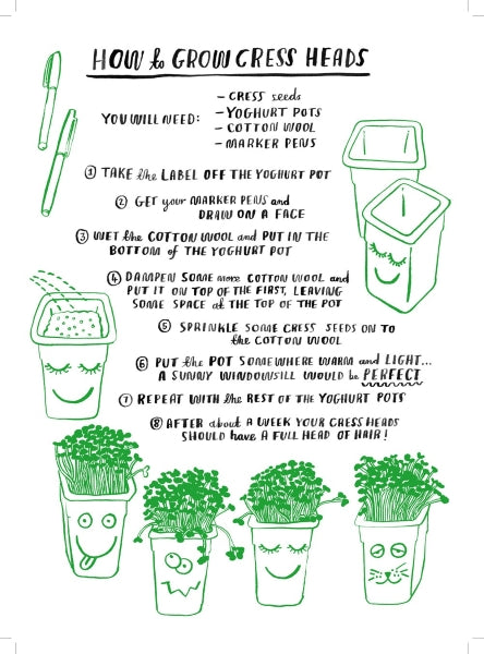 Hello Nature Activity Book