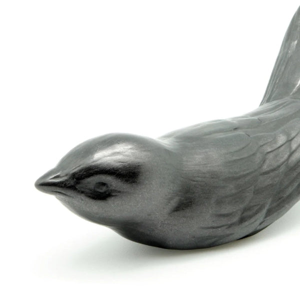 Graphite Sparrow