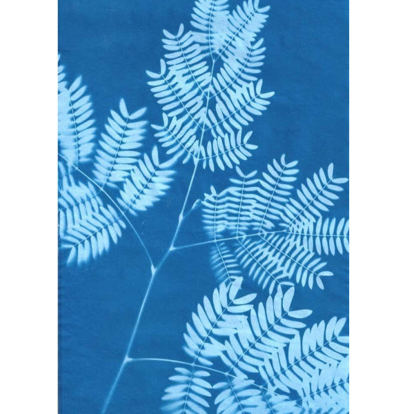 Sunprint Super Kit