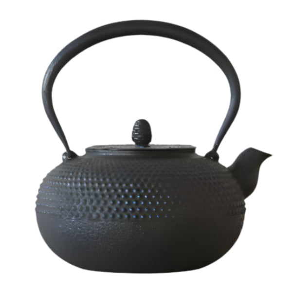 Oigen Kurikuchi Iron Tea Kettle