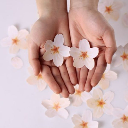 Cherry Blossom Paper Sticker Memo Notes