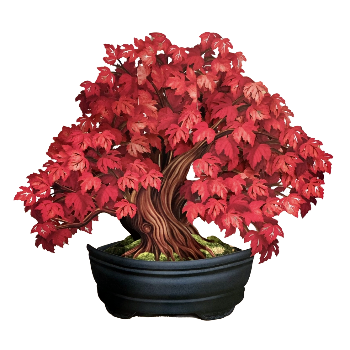 Red Maple Tree Pop-Up Greeting Card