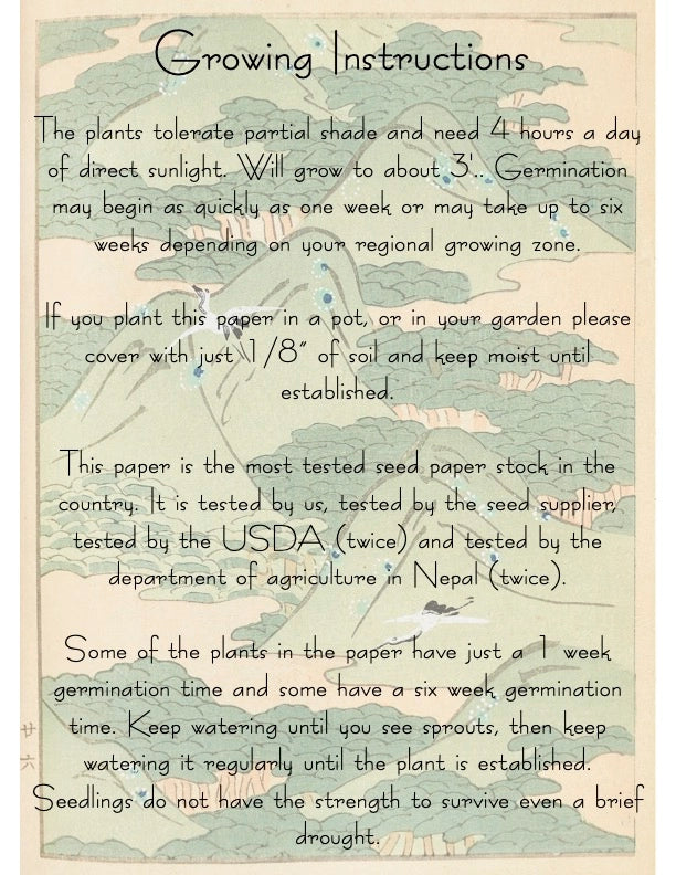 Poppies Plantable Seed Card