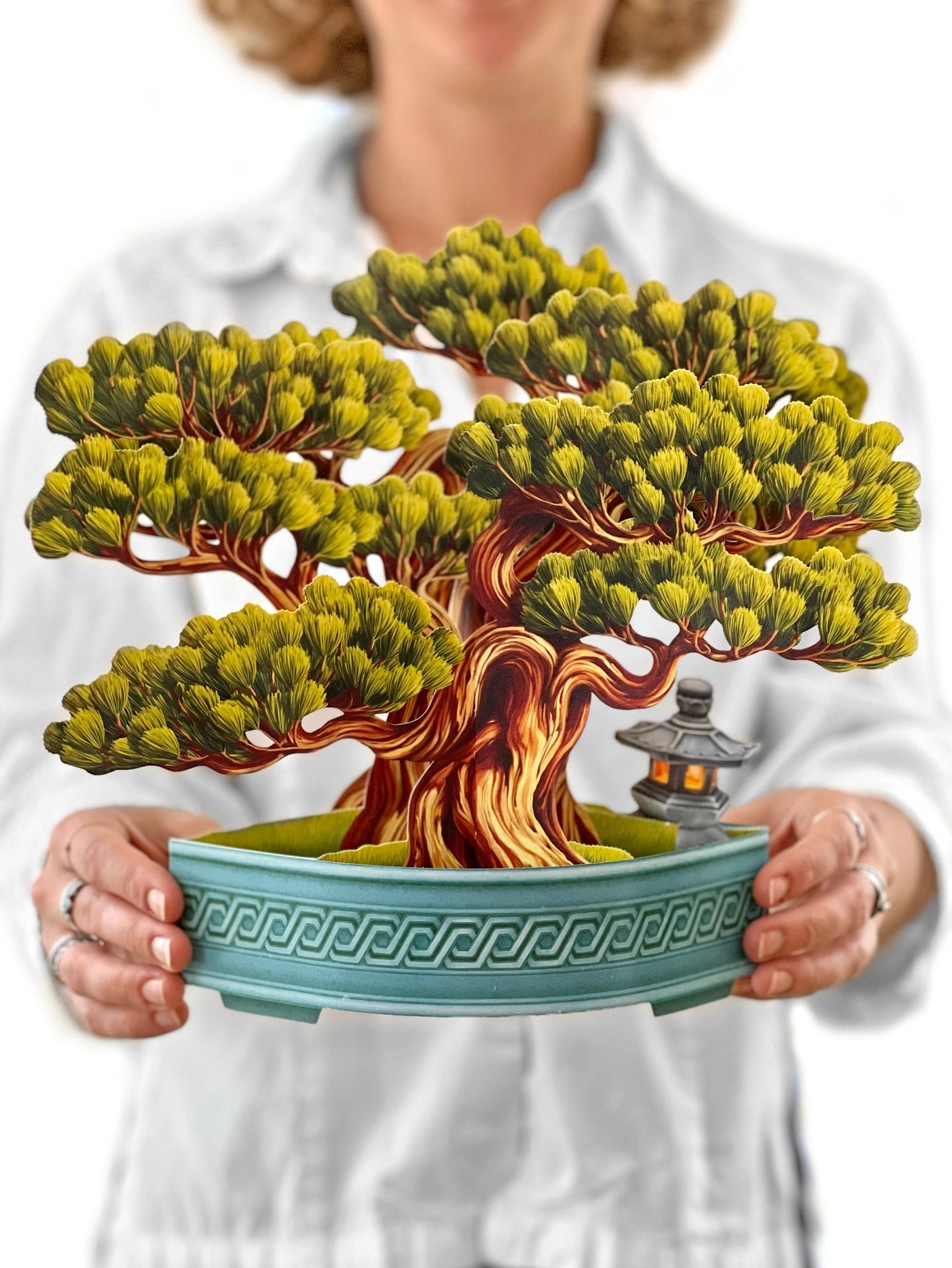 Wisdom Bonsai Pop-Up Greeting Card