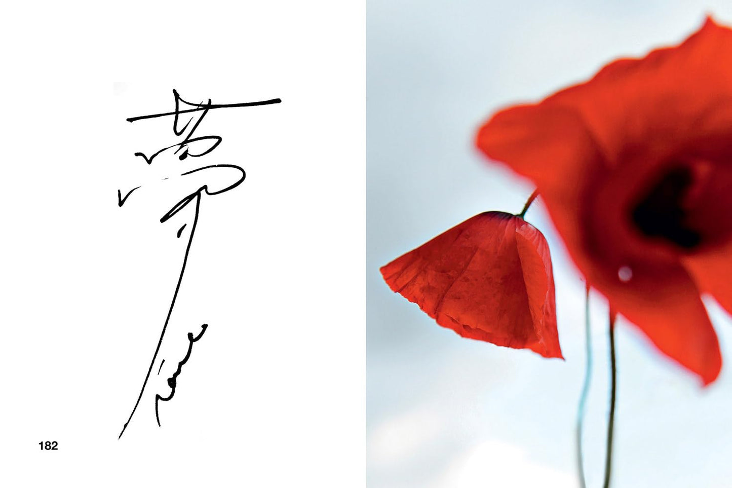 KENZO: Perfume Fashion