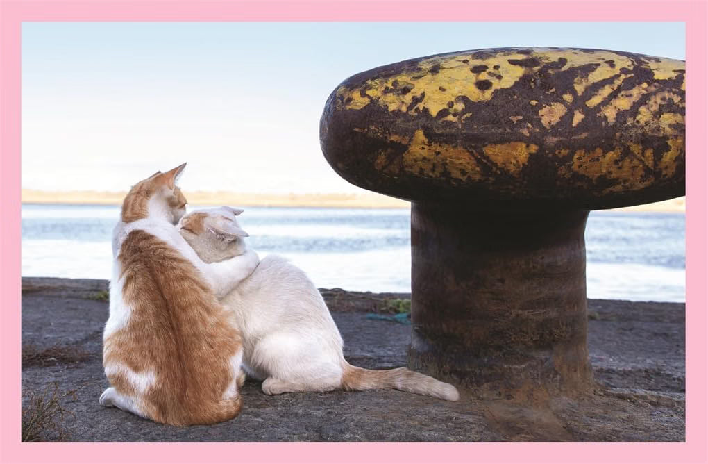Neko: Cats of Japan