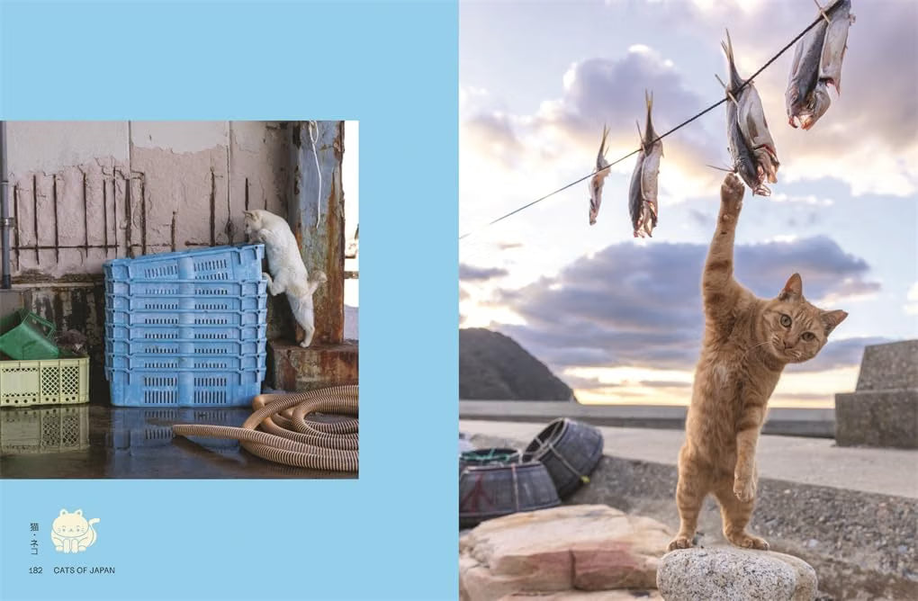 Neko: Cats of Japan