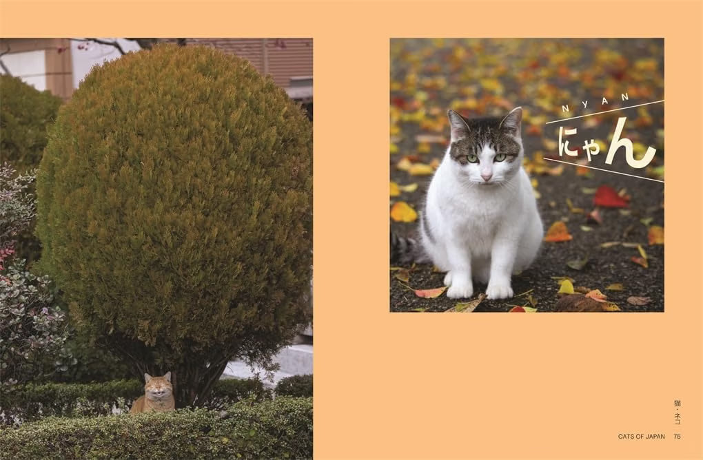 Neko: Cats of Japan