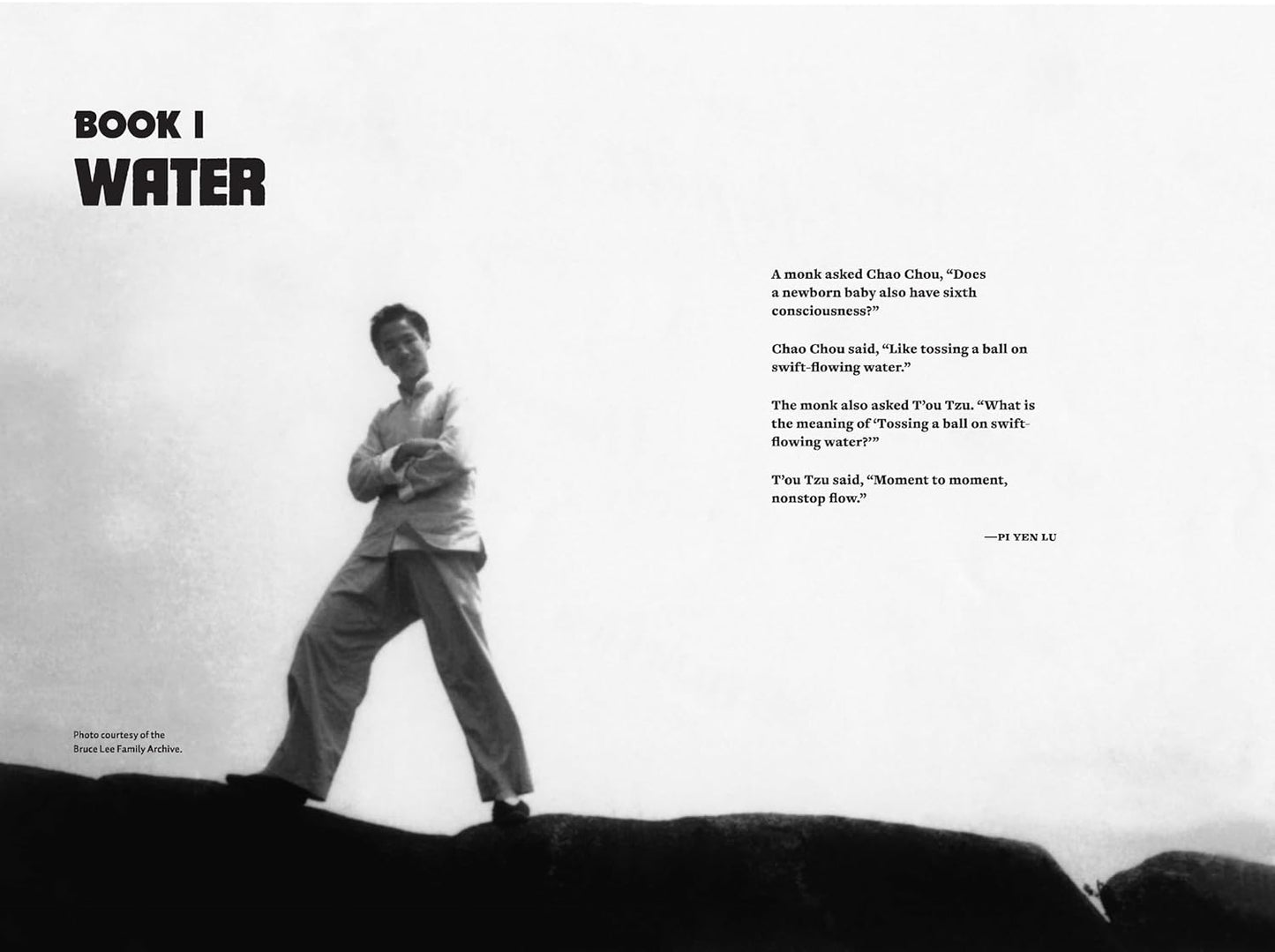 Water Mirror Echo: Bruce Lee and the Making of Asian America