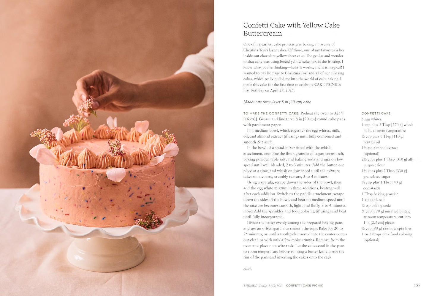 Cake Picnic