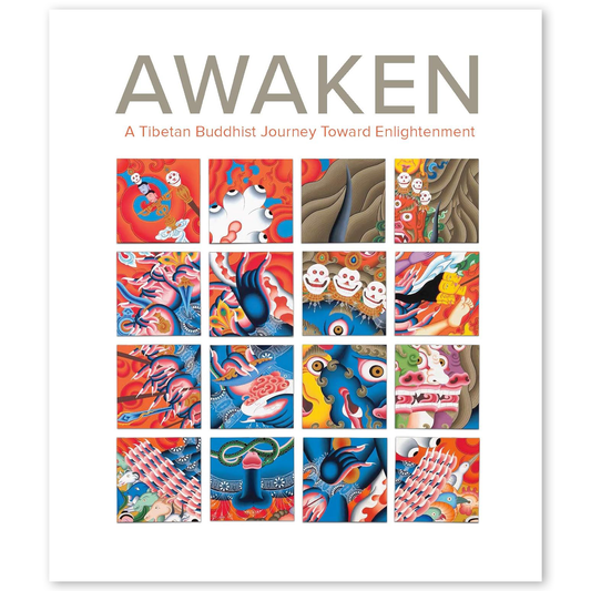 Awaken: A Tibetan Buddhist Journey Toward Enlightenment