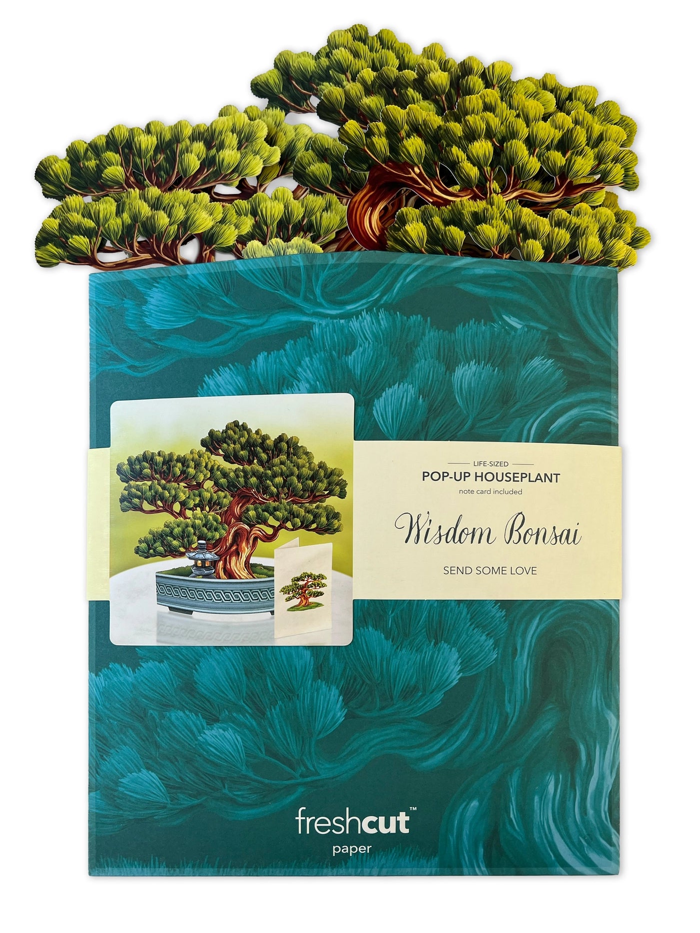 Wisdom Bonsai Pop-Up Greeting Card