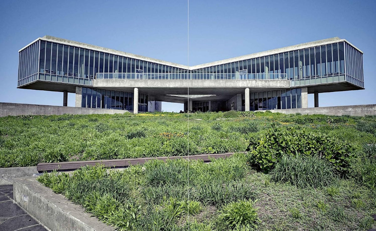 Brutalist Korea