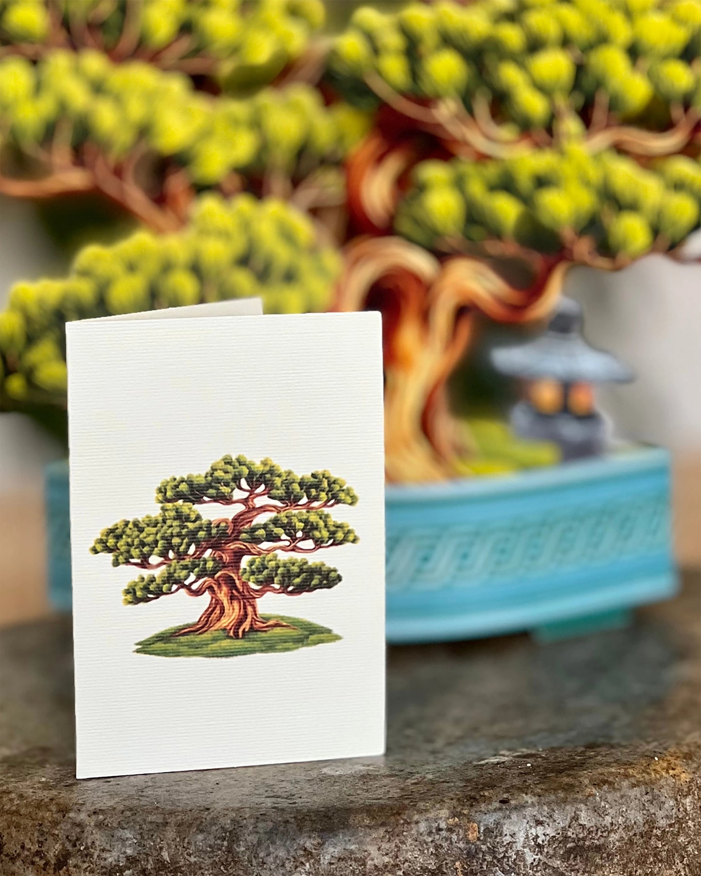 Wisdom Bonsai Pop-Up Greeting Card