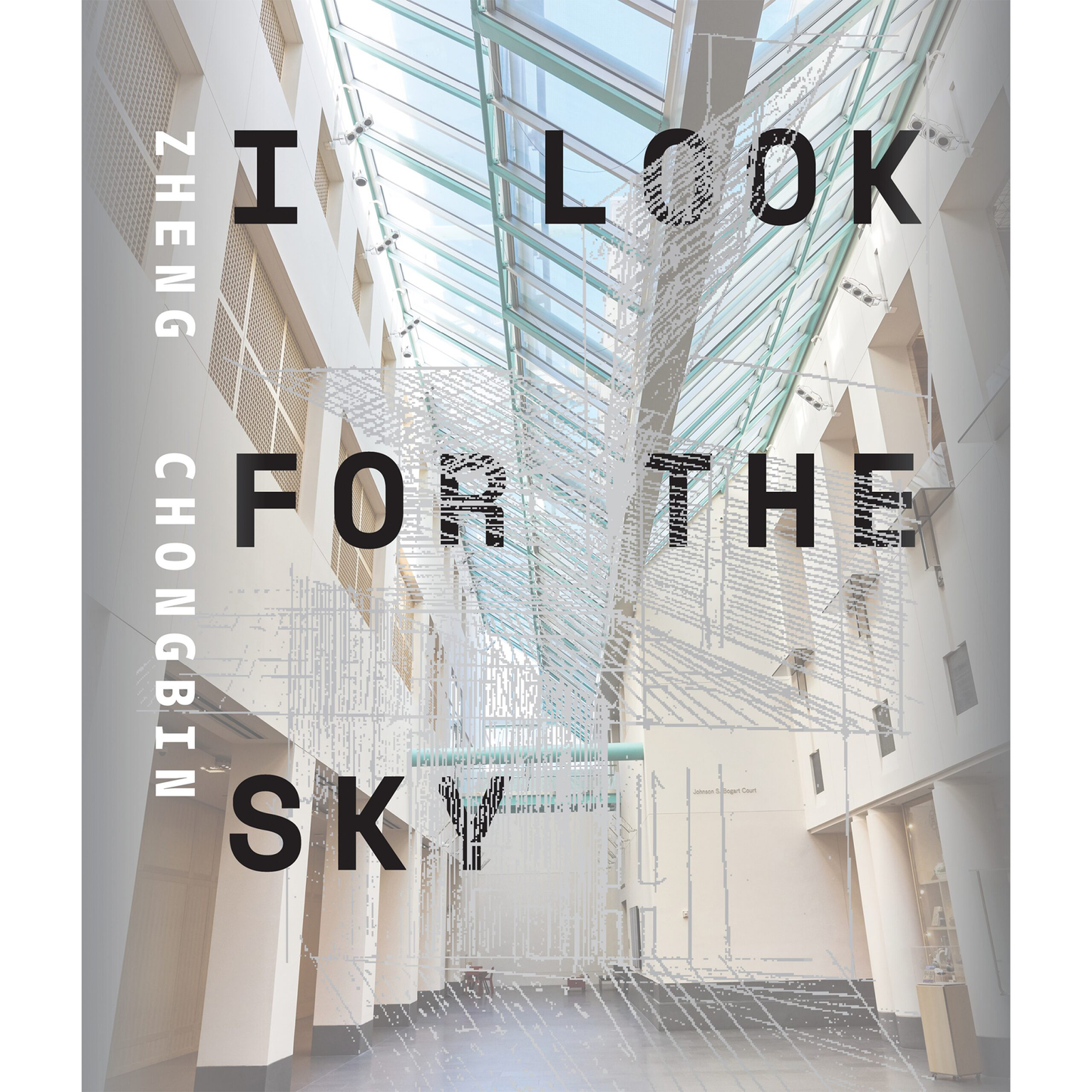 Zheng Chongbin: I Look For The Sky
