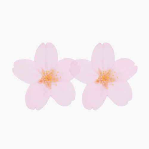 Cherry Blossom Pink Transparent Sticky Memo Notes - Medium