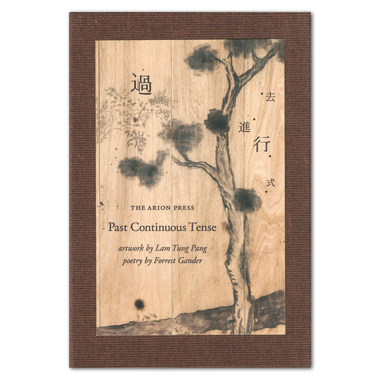 Past Continuous Tense