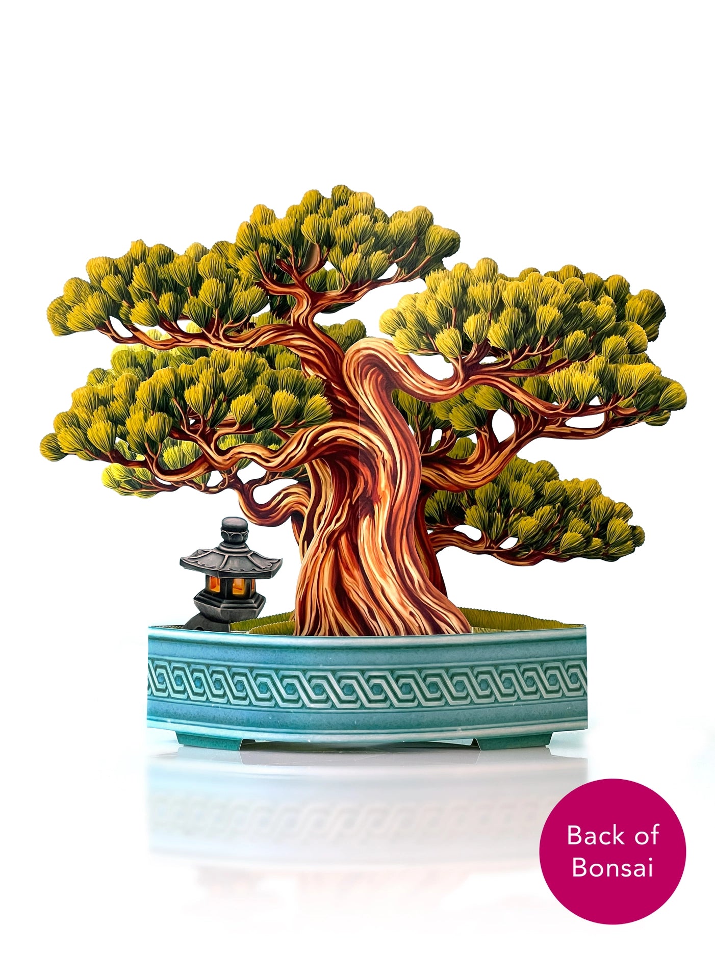 Wisdom Bonsai Pop-Up Greeting Card