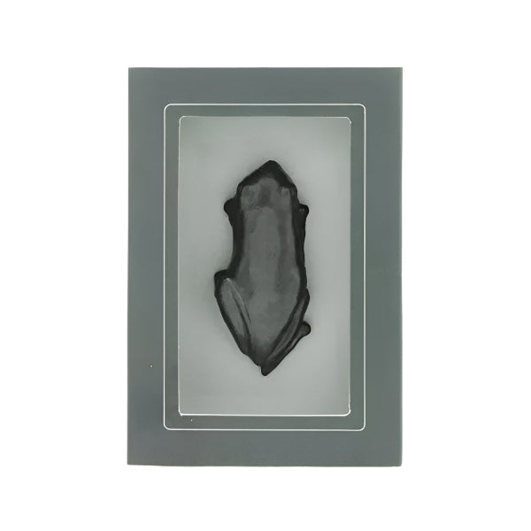 Graphite Curio Objects