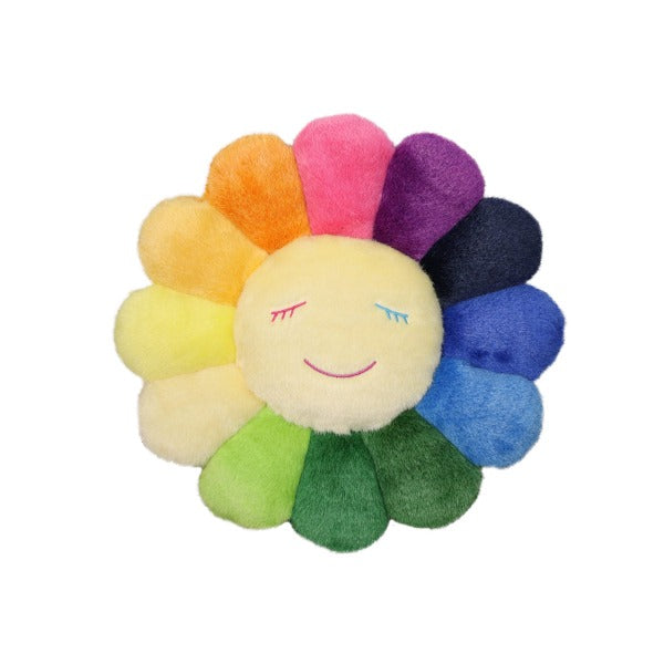 Small Rainbow & White Flower Cushion